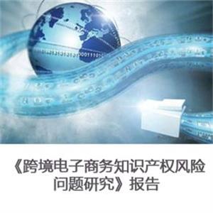 跨境电子商务知识产权风险问题研究